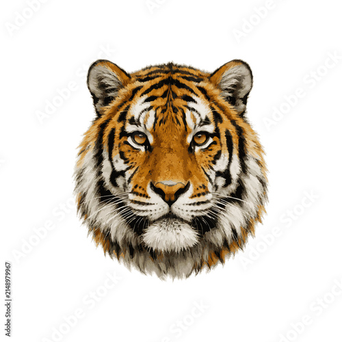 Canvas Print tiger isolated on white background