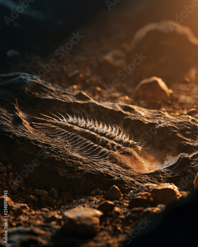 Detailed fossil of trilobite embedded in ancient rock layer lit by warm sunlight 