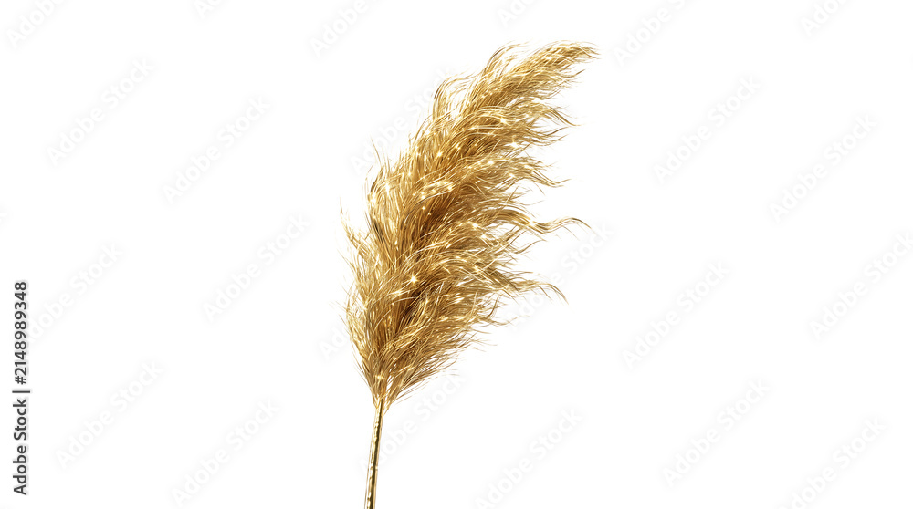 Fototapeta premium Golden pampas grass plume isolated on transparent background luxury botanical decor element for wedding floral arrangement design concept elegant shimmering dried plant.