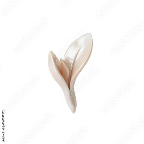 Elegant Mother of Pearl Carved Flower Petal Ornament