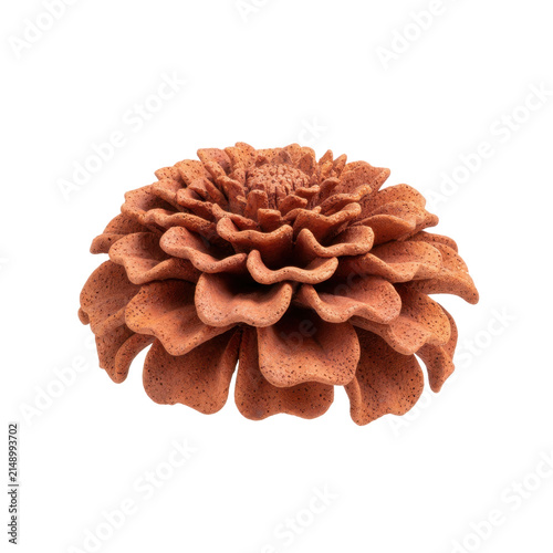 Decorative Terracotta Flower Sculpture with Textured Petals