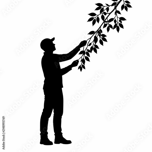 Black silhouette of a male worker wearing a cap and boots reaching up to hold or inspect a leafy tree branch, minimalist illustration isolated on a plain white background.