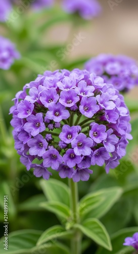 Close-up of a vibrant purple butterfly bush flower in full bloom.