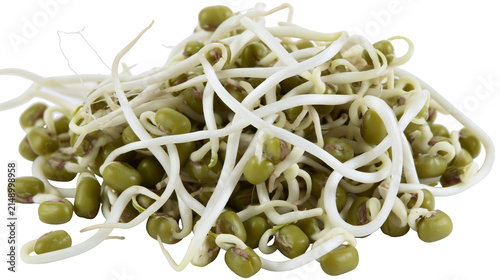 Mung bean sprouts with green beans