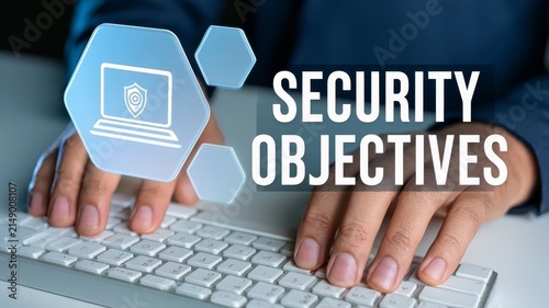 Professional establishing security objectives for digital systems and information protection strategies in corporate environments.