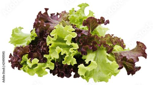 Red leaf lettuce and green leaf lettuce salad mix