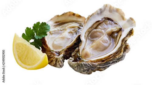 Two fresh oysters with lemon slice and parsley sprig