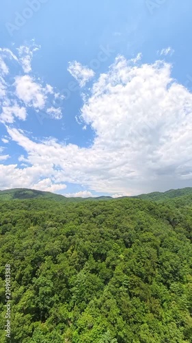 Scenic Nature: 4K Vertical Drone Aerial View Flying over the Appalachian Mountains in North Carolina