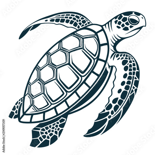 Graphic illustration of a sea turtle swimming with wildlife swimming underwater creature