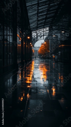 Urban Reflections - A Glimpse into the Citys Soul on a Rainy Night.