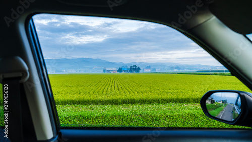 Cuadro en lienzo Hokkaido farmland seen through a car window on a summer road trip