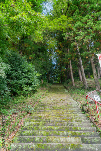 Foto 靜神社の境内に続く苔むした石段/Mossy Stone Stairs Leading to the Precincts of Shizuka Shrine