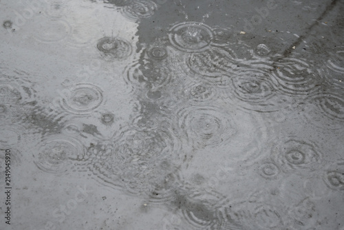 雨　水溜り
