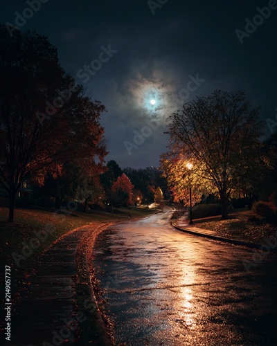 Moonlit Night - Reflections on a Wet Suburban Street.