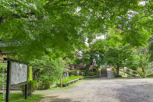 新緑の樹木に包まれた馬頭院の境内案内図とアプローチ/Information Map and Approach Surrounded by Fresh Greenery at Batoin Temple