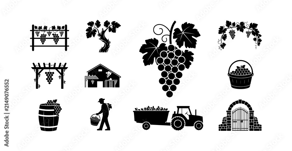 Obraz premium Collection of vineyard and wine production related icons and illustrations for agriculture and viticulture themes