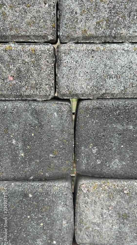 Top view paving stone samples display, close-up texture of coarse concrete pavers arranged on retail stand, neutral tan and gray