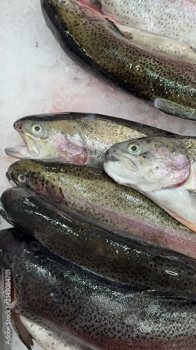 Fresh frozen sea trout on ice, rows of whole trout on shallow crushed ice at seafood counter, silvery scales glistening under shop