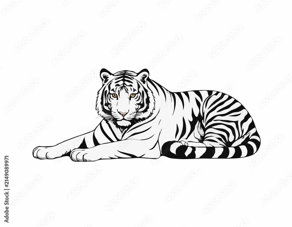 Obraz premium Tiger Lying Down Images image vector. Black and white Tiger Lying Down Images on white background.