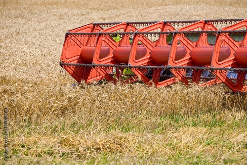 Combine harvester header cutting ripe wheat in golden field closeup