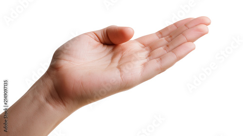 Quadro su tela Open human hand palm up, showing fingers and wrist