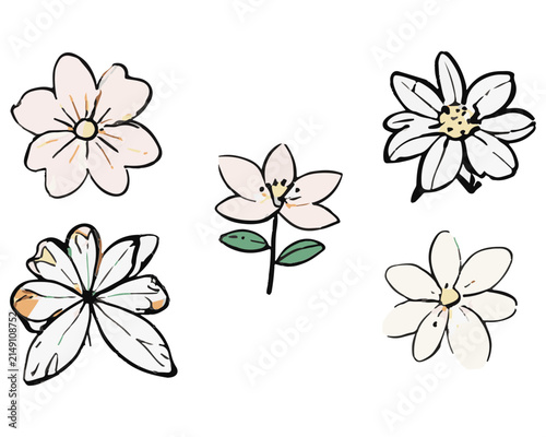 Flowers Collection in Hand Drawn Sketch Style for Floral Design Elements