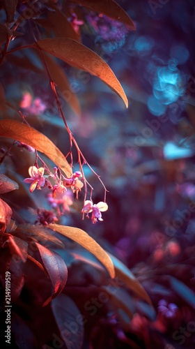 Enchanting Floral Display - A Symphony of Colors and Delicate Blooms.
