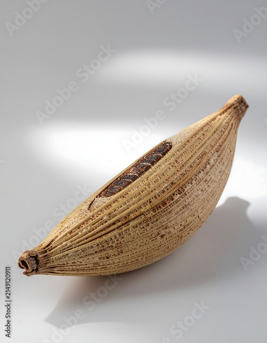Dried Gourd Shell with Natural Texture.