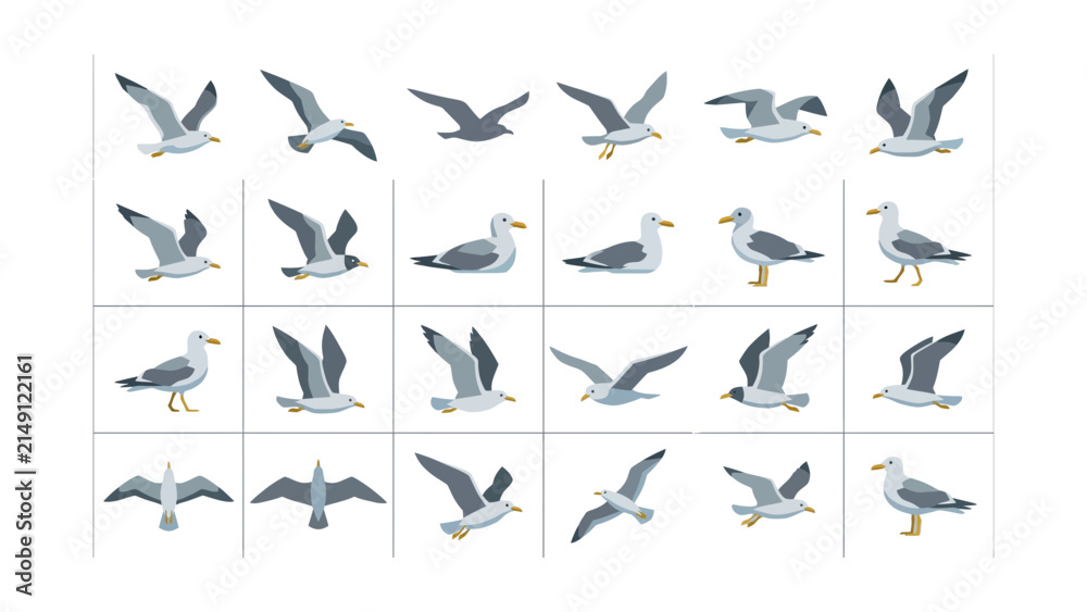 Fototapeta premium Set of various seagull birds in different poses including flying sitting and standing isolated as a collection of black