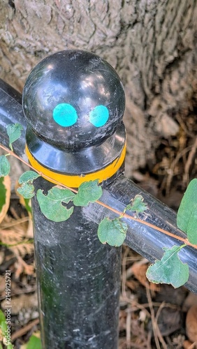 Fence Post Cap with Eyes in Garden