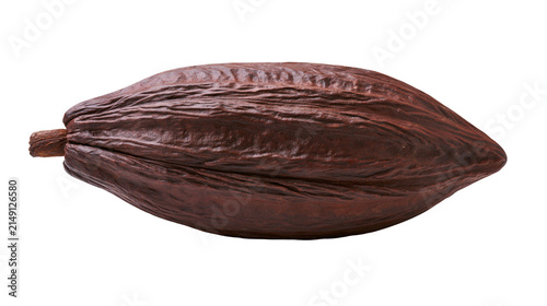 Dark brown textured cocoa pod with stem, isolated on transparent background