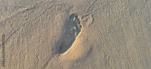 Single footprint imprinted in golden sand on a beach, illuminated by warm sunlight.