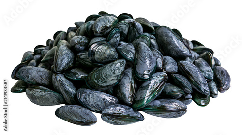 Quadro su tela Pile of fresh green-lipped mussels with dark shells