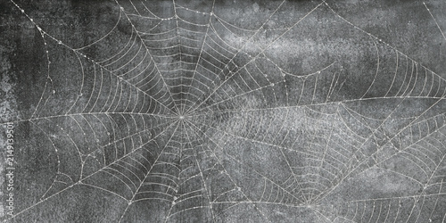Konstfotografi spider web with dew drops and background rustic marble decoration