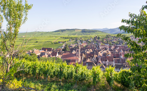 Summer Panoramic View of Riquewihr Village and Vineyards in Alsace, France