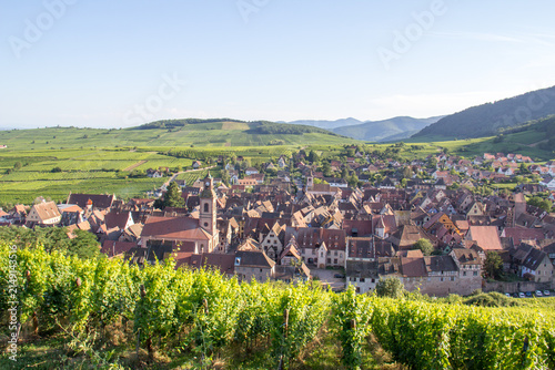Summer Panoramic View of Riquewihr Village and Vineyards in Alsace, France