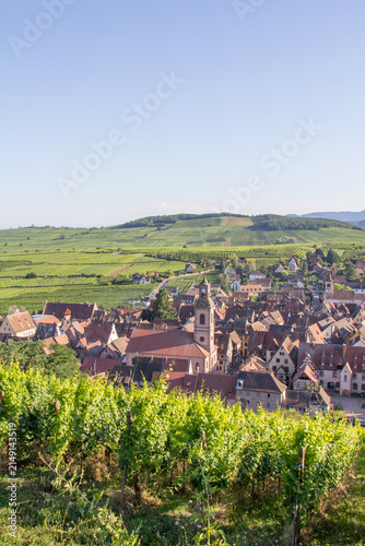 Summer Panoramic View of Riquewihr Village and Vineyards in Alsace, France