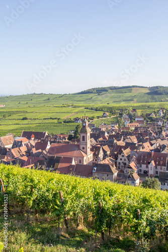 Summer Panoramic View of Riquewihr Village and Vineyards in Alsace, France