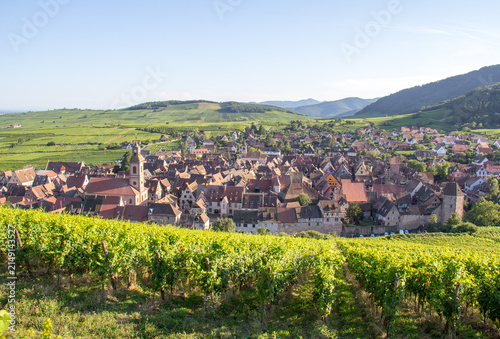 Summer Panoramic View of Riquewihr Village and Vineyards in Alsace, France