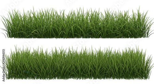 Two rows of green grass texture illustration