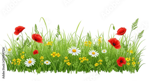 Colorful flowers growing in green meadow