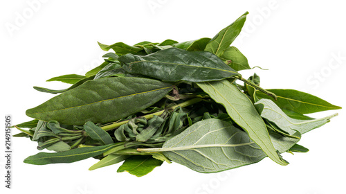 Fresh green bay leaves and thyme herb sprigs pile