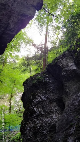 A vertical shot tilting down towering limestone cliffs and wooden stairs inside Devil's Passage gorge at the Zeleni Vir nature reserve in Skrad, Croatia, framed by lush green forest canopy overhead.