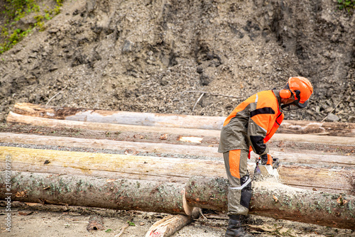 фотографія Male tree surgeon sawing tree trunk using chainsaw in forest