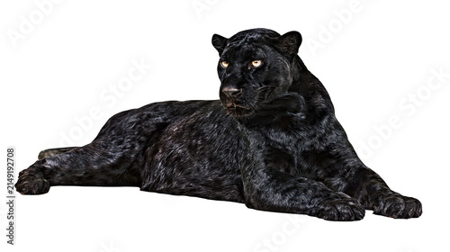 Canvastavla Black panther lying down with yellow eyes