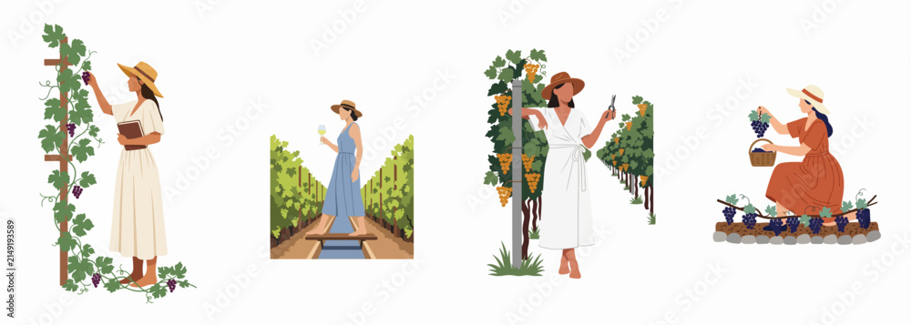 Naklejka premium Vector Illustration Set of Women Harvesting Grapes in a Vineyard, Minimalist Flat Design Collection of Viticulture Scenes, Female Farmers Working in Winery Rows during Summer Wine Harvest