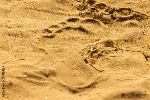 Fußabdruck im Sand