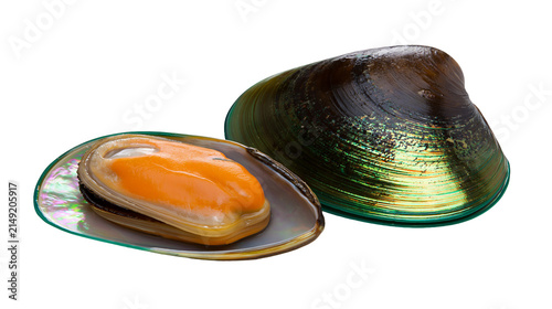 Foto Fresh opened mussel with orange flesh and closed shell