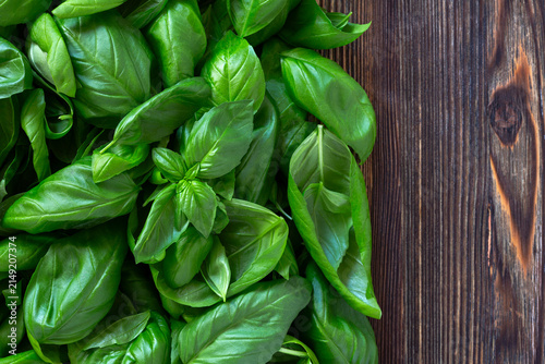 Fresh Basil on Wooden Table.