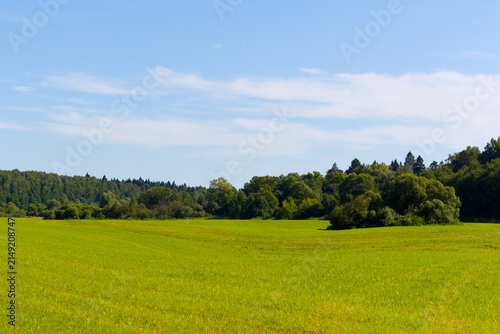 Bild auf Leinwand Vibrant green rolling meadow under a clear blue sky, bordered by a lush forest e